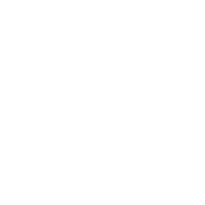 Fotógrafo de Casamento em Sampa Logo